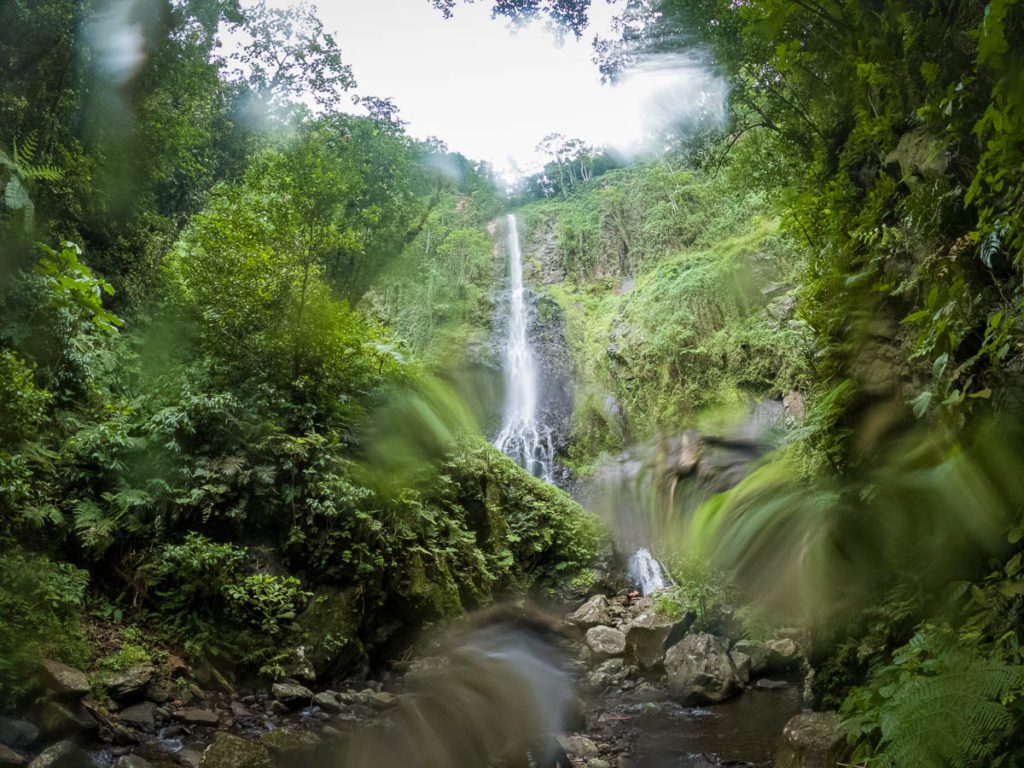 Cocos island waterfall