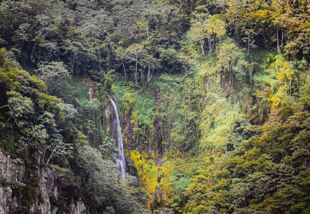 cocos island costa rica