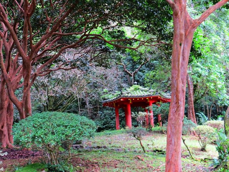 yodo-In Temple: The Place For Meditation In Honolulu