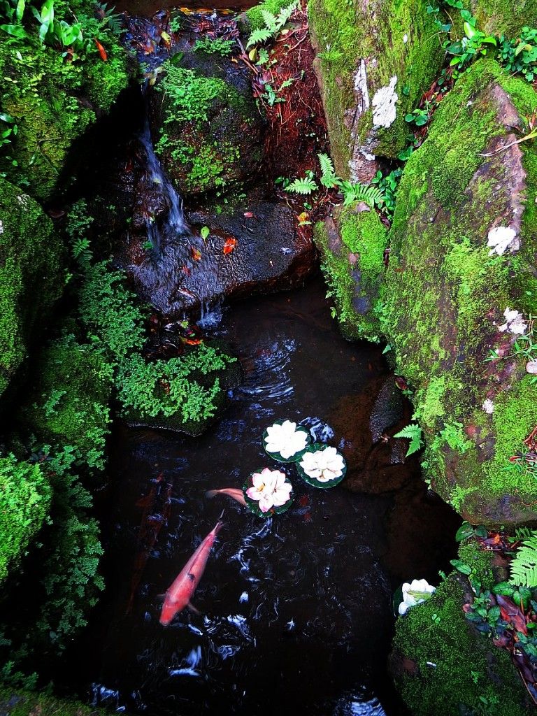 yodo-In Temple: The Place For Meditation In Honolulu