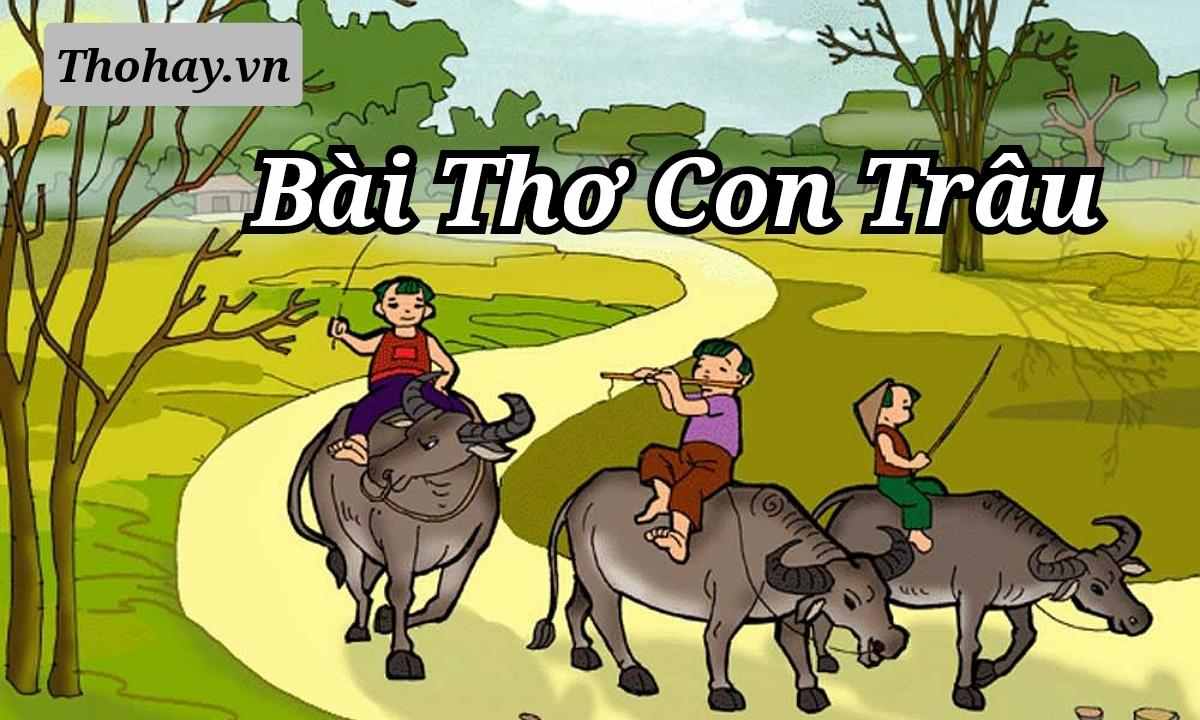 Bài Thơ Con Trâu Nhà Trẻ ️️ Nội Dung, Hình Ảnh, Giáo Án