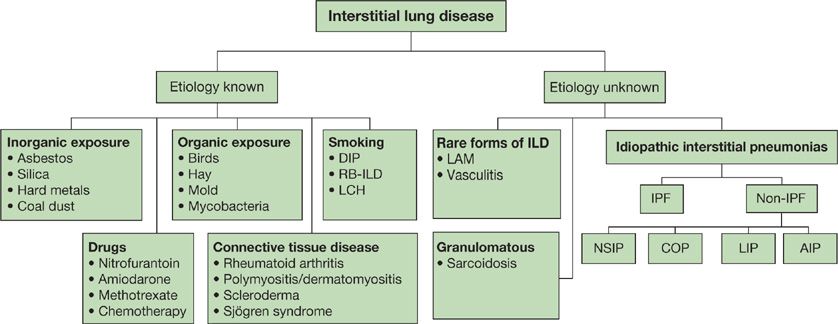 Interstitial Lung Disease Classification