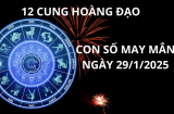 Tử vi ngày 29/1 con số may mắn dành tặng 12 cung hoàng đạo cơ hội nhận lộc thánh gánh lộc trời