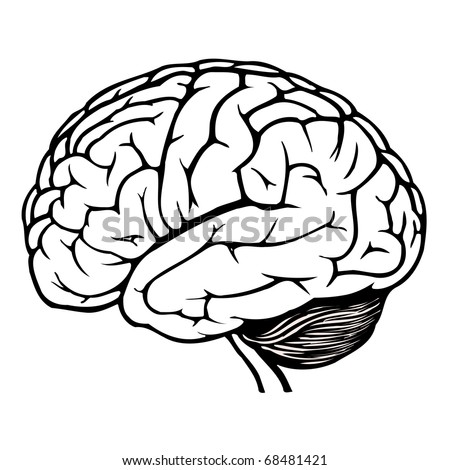 Black White Human Brain Jpg Stock Illustration 68481421 - Shutterstock