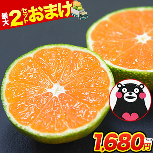 【最大3kgオマケ増量！】 小玉 みかん 送料無料 訳あり ミカン 小粒 果物 小粒 熊本 1.5 kg 【 5 kg 以下( 5キロ・5k)】極早生 柑橘 九州 小玉 蜜柑 わけあり お買い物マラソン 《10月中旬-11月上旬頃より発送予定》