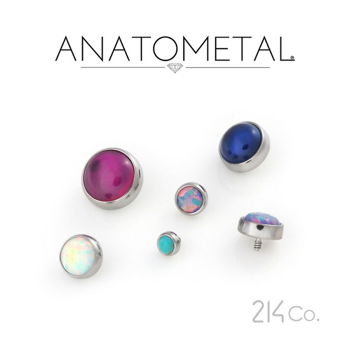 2mm ベゼルカボション ジェムエンド 単品 ANATOMETAL