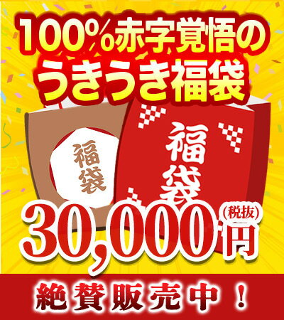 うきうき福袋3万円de究極辛口赤ワイン3本セット【福袋2025】【初売りセール2025】【年越し特集2024】【YDKG】