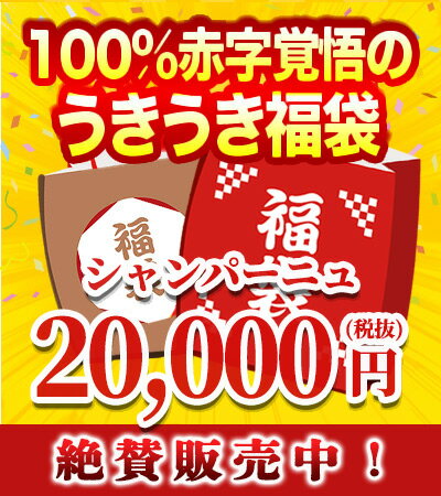 うきうき福袋2万円de超希少シャンパーニュ4本セット【福袋2025】【初売りセール2025】【年越し特集2024】【YDKG】