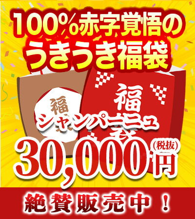 うきうき福袋3万円de超希少シャンパーニュ3本セット【Aセット】【福袋2025】【初売りセール2025】【年越し特集2024】【YDKG】