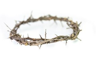 Crown of thorns