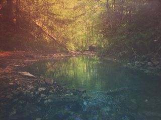 Quiet Pool