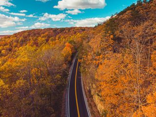 Solitary road in autumn