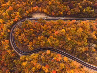 Winding road in autumn