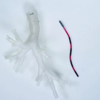 Patient-Specific Magnetic Catheter