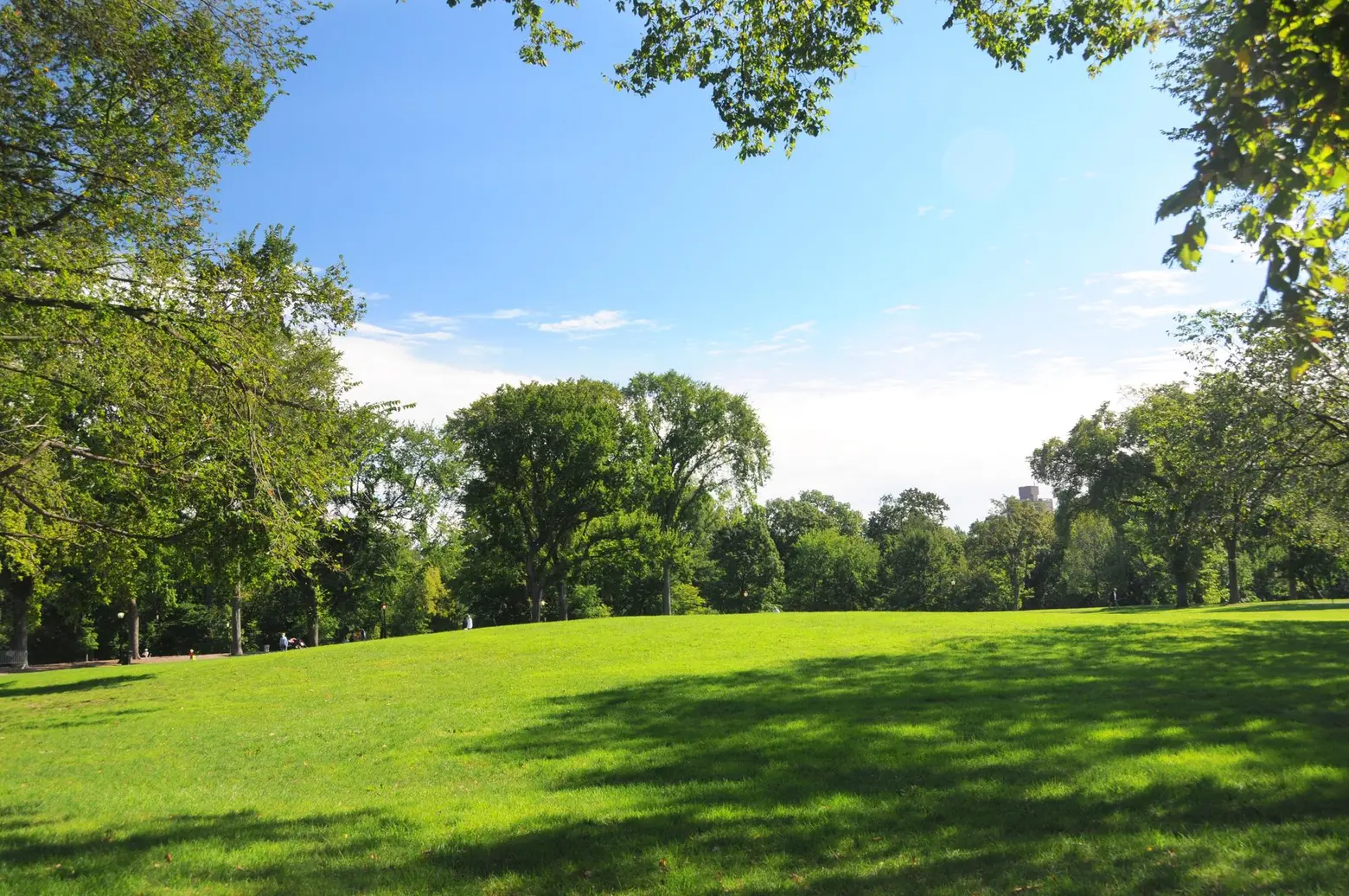 Central Park Great Hill, Central Park Conservancy