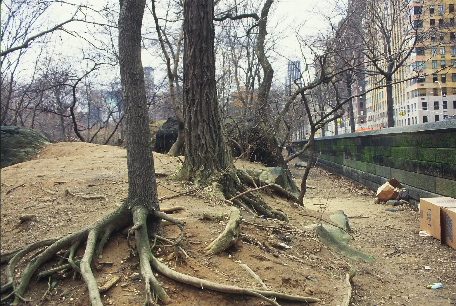 Central Park 72nd Street entrance, Central Park Conservancy, Central Park 1980s