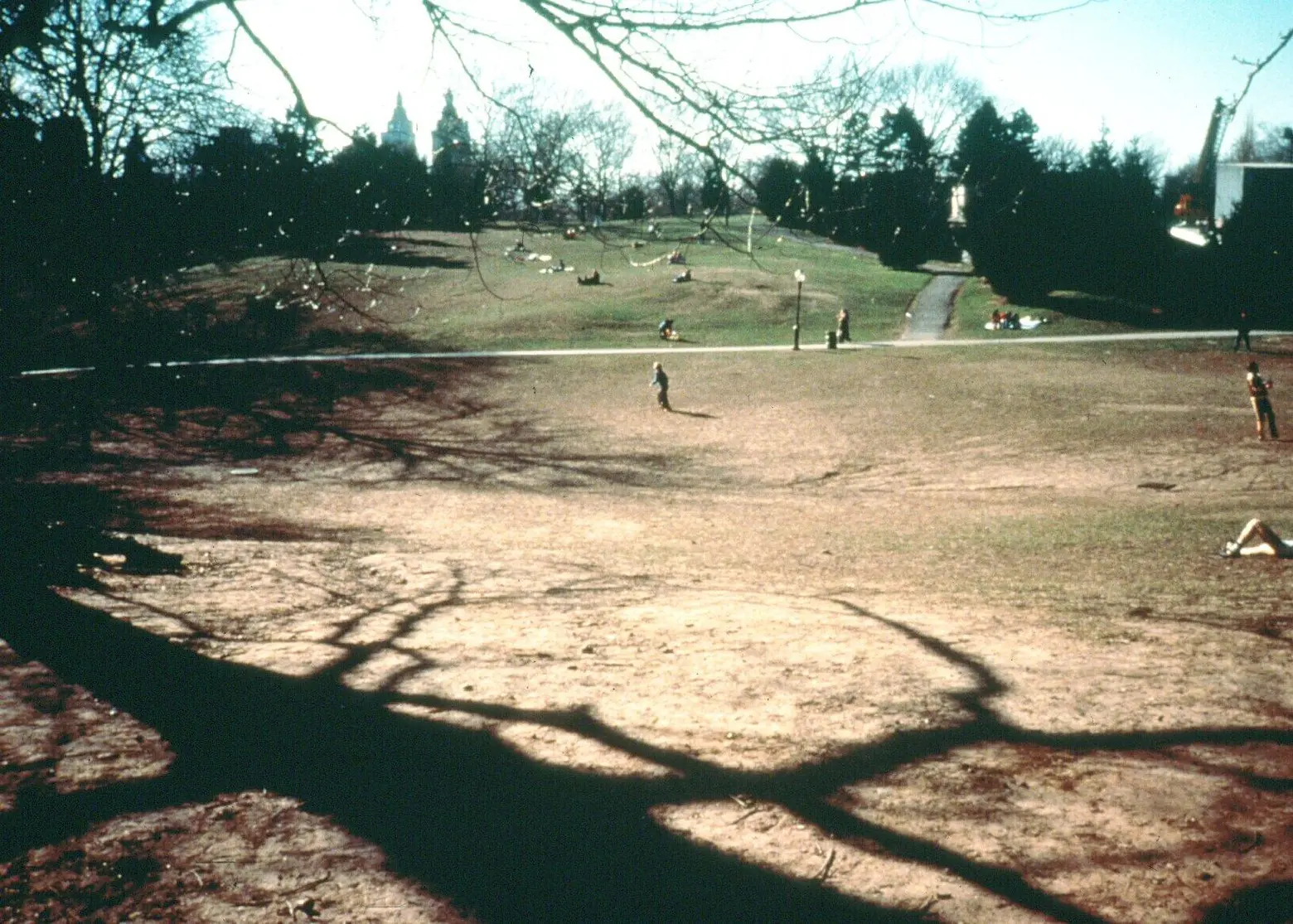 Central Park Cedar Hill, Central Park Conservancy, Central Park 1980s