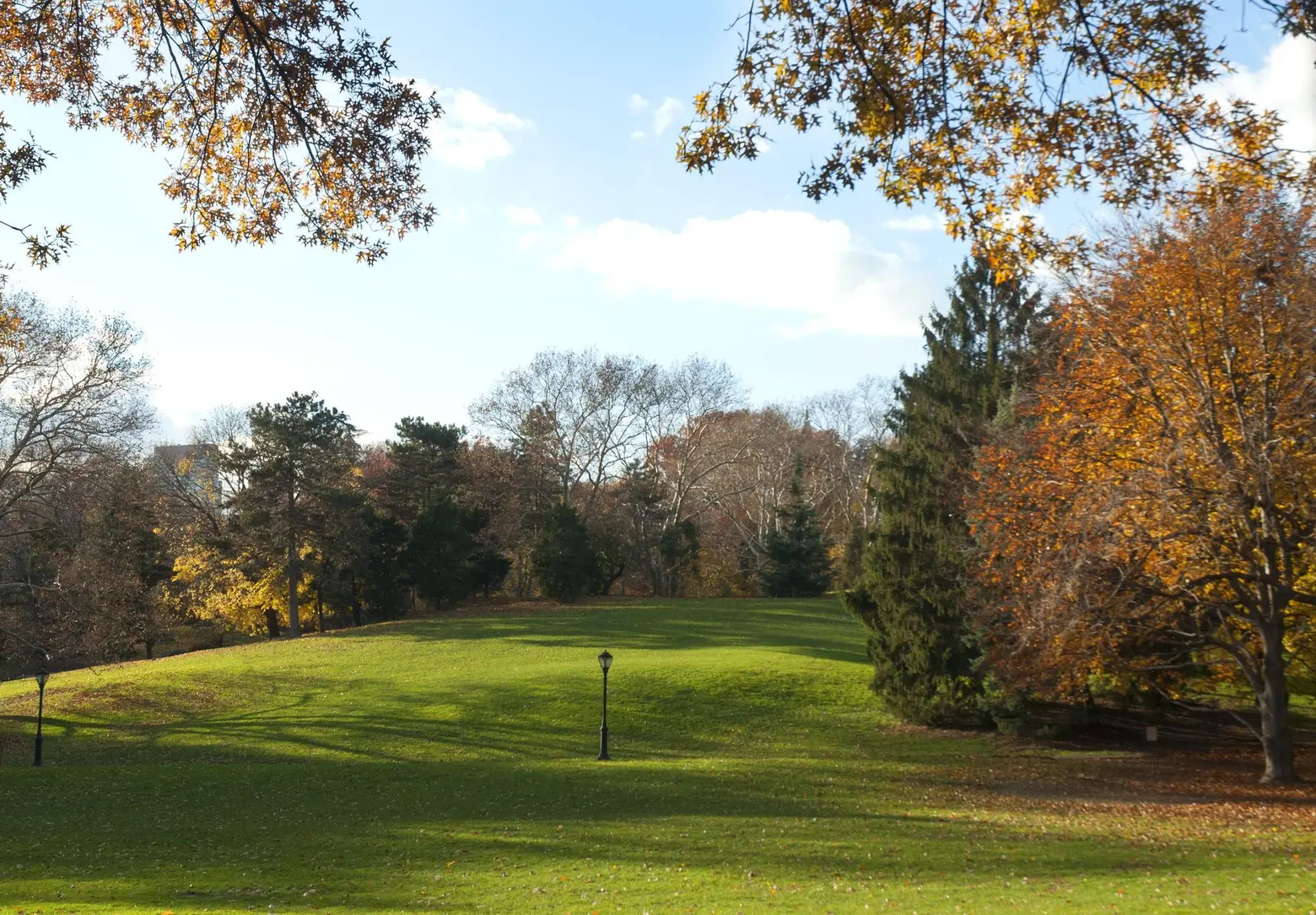 Central Park Cedar Hill, Central Park Conservancy