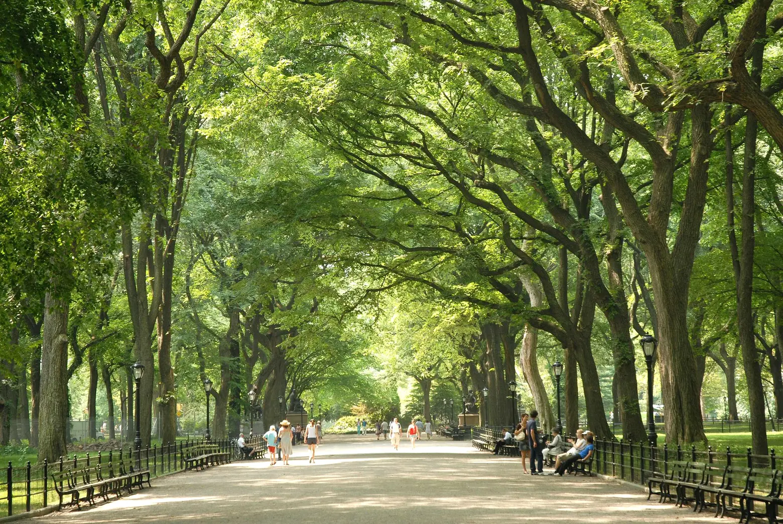 Central Park Mall, Central Park Conservancy