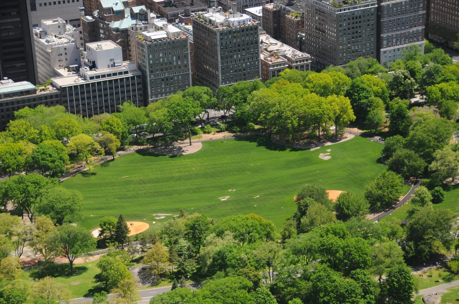 Central Park East Meadow, Central Park 1980s, Central Park Conservancy