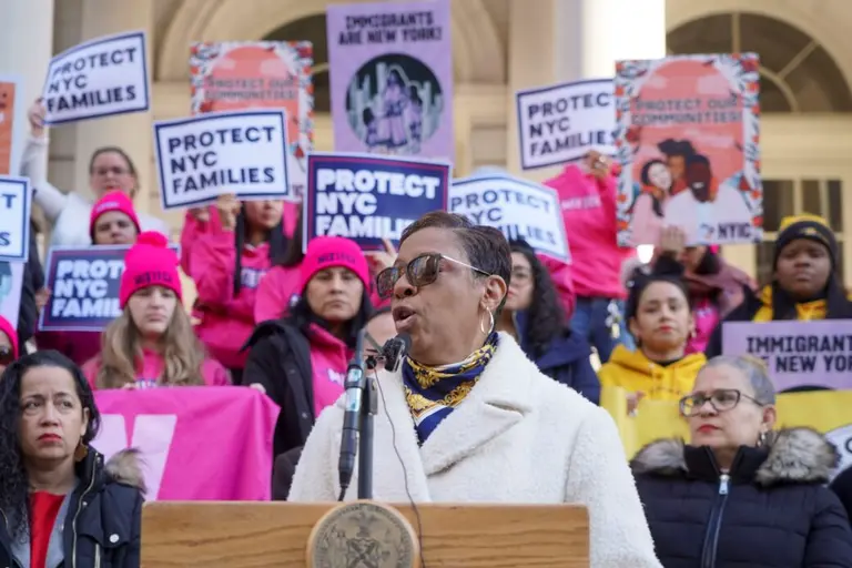 NYC Council creates first-ever language bank for city’s immigrant communities