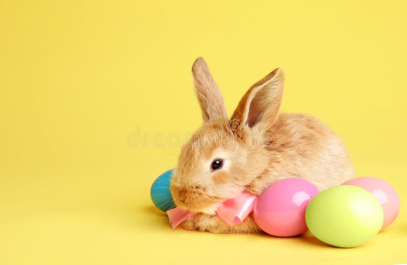 Background With Easter Bunny And Copyspace Vector Stock Illustration   Download Image Now  iStock