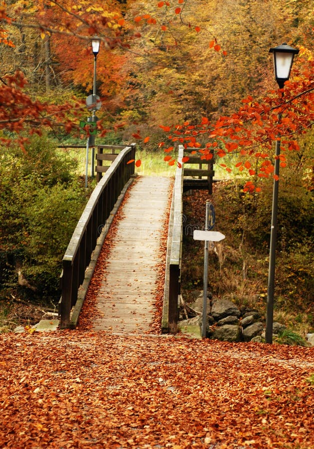 Autumn bridge