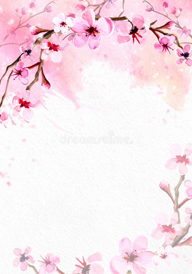 Cherry Blossom on Pink Watercolor Background. Stock Illustration -  Illustration of decoration, jasmine: 109986868