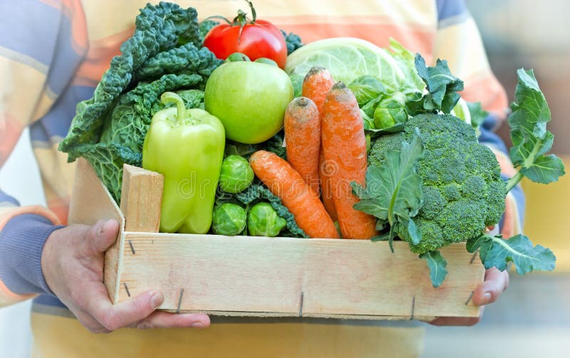 Crate Full of Fresh Organic Food Stock Image - Image of agriculture ...