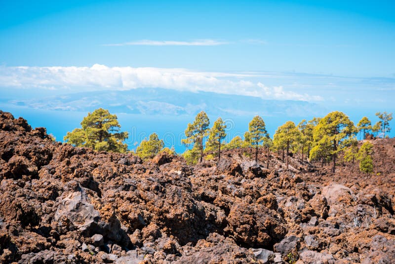 Lava Landscape Teide Volcano Tenerife Canary Stock Photo - Image of ...