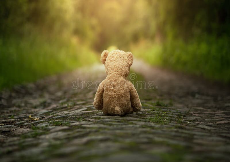 Lonely teddy bear on the road royalty free stock photography