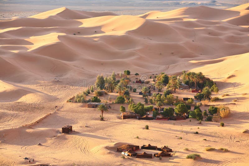 Oasis in Sahara desert