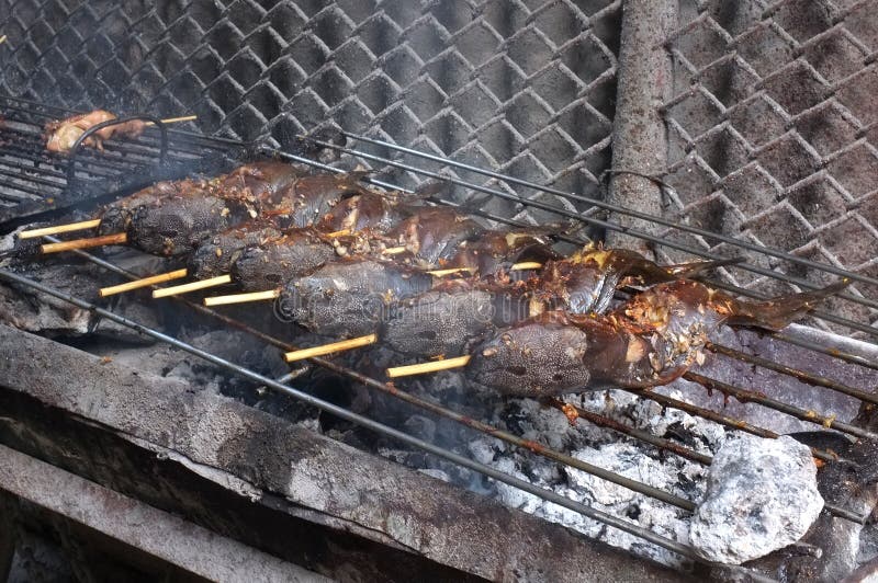 Pescados Del Gato De La Parrilla En Estufa Caliente Del Carbón De Leña  Imagen de archivo - Imagen de llamas, carne: 72233337