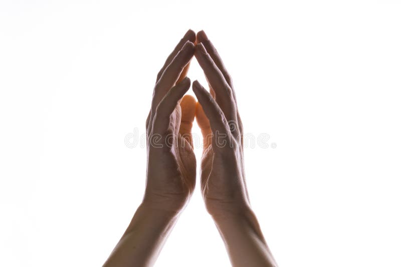 Praying Hands on a White Background. Light from Above. Hands Folded in  Prayer Stock Image - Image of faith, palm: 215883599