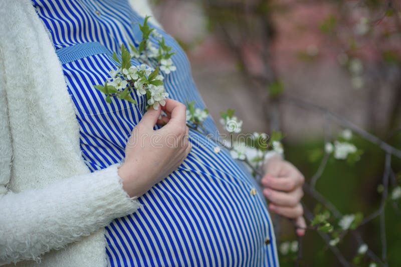 Pregnant Woman Holding Her Belly and Flower Stock Photo - Image of ...