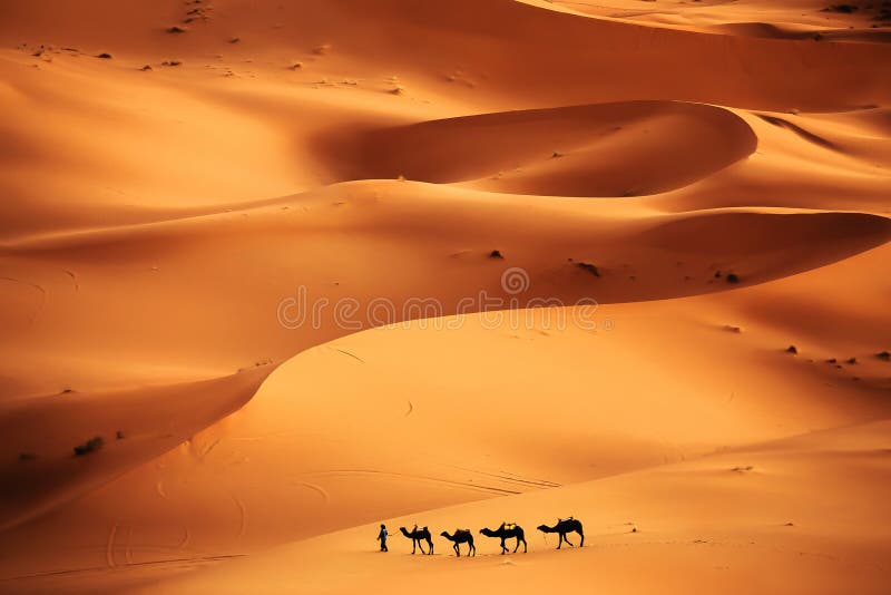 Sahara Desert