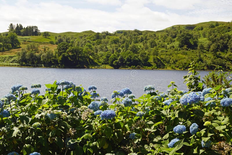 Scotland landscape   Cruachan Visitor Centre royalty free stock photos