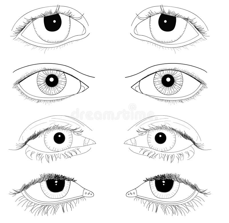 Set of Realistic Eyes Hand Drawn Line Art Illustrations No Fill Body ...