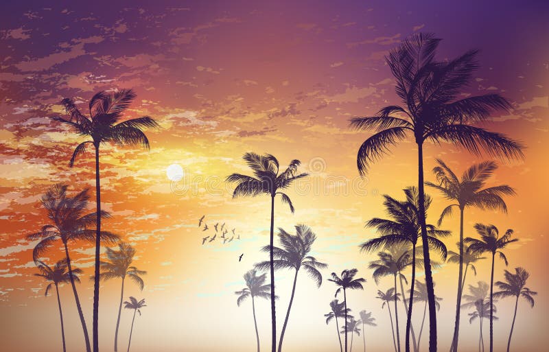 Silhouette of Tropical Palm Trees at Sunset or Sunrise, with Cl Stock ...