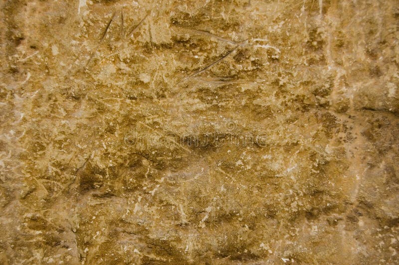 Stone Texture