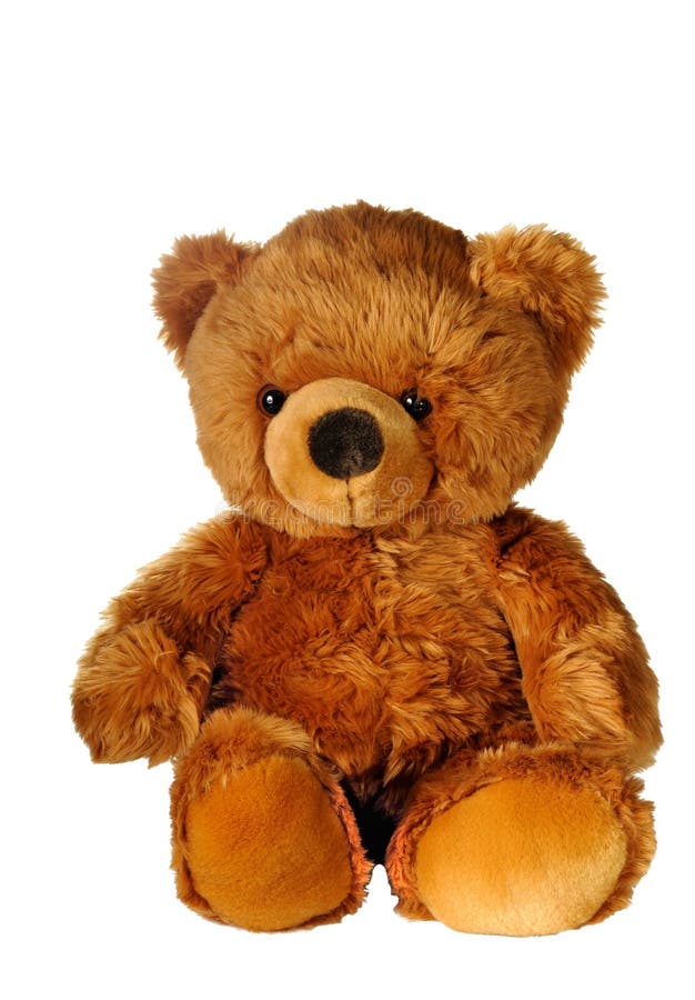 Teddy bear stock images