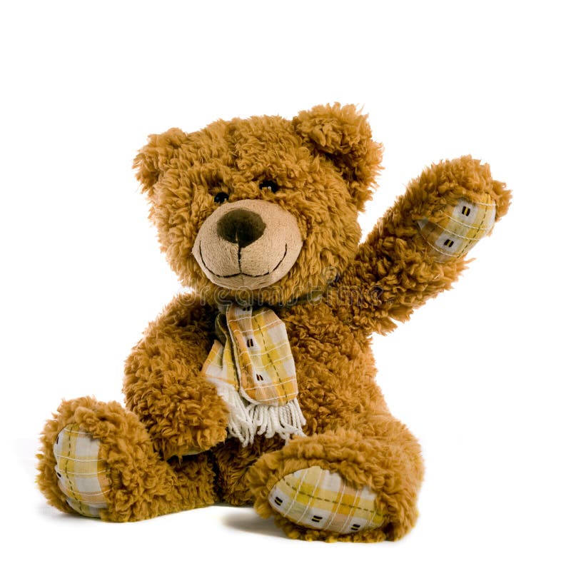 Teddy Bear stock image