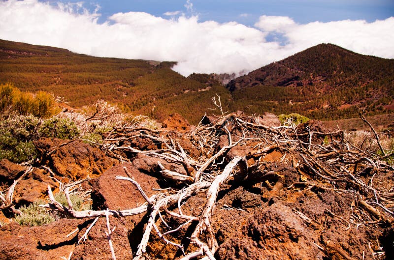 Volcano Teide and Lava Scenery in Teide National Park, Rocky Volcanic ...