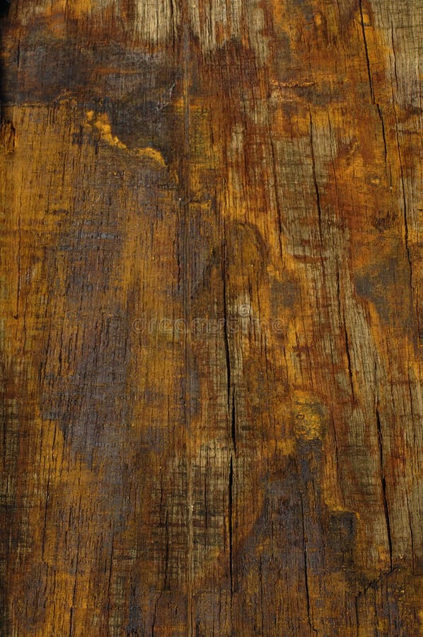 Wood texture