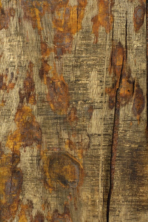 Wood texture