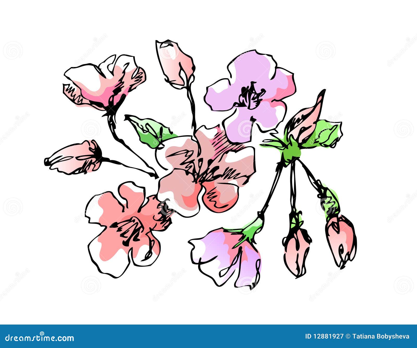 Apple Blossom Tree Drawing