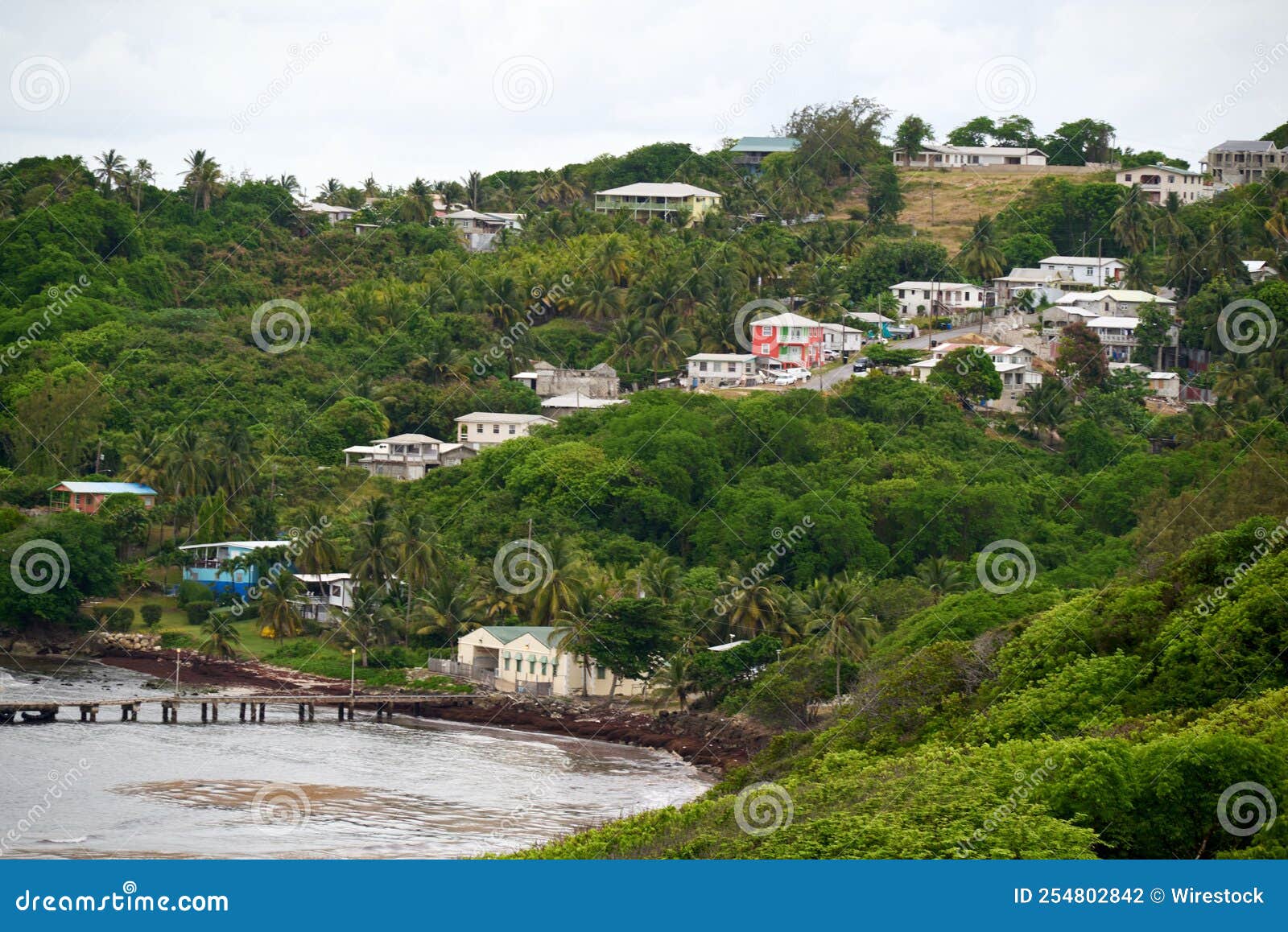 Beautiful View of Houses on a Hill with Lush Trees Stock Photo - Image ...