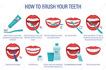 Cheme of How To Brush Your Teeth.Step-by-step Instructions. Oral ...