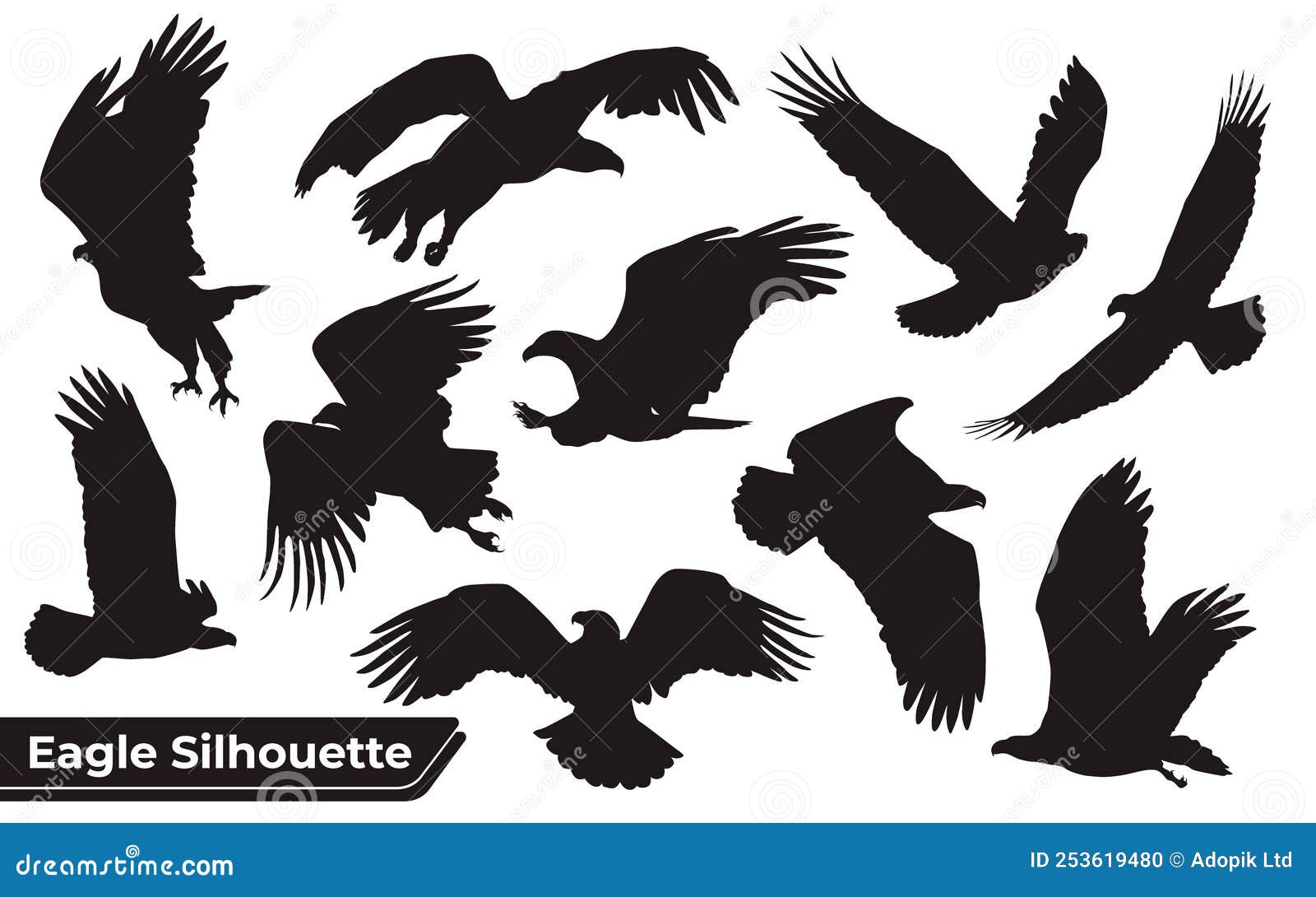 Colección De Siluetas De águilas De Aves En Diferentes Posiciones  Ilustración del Vector - Ilustración de trazado, animal: 253619480