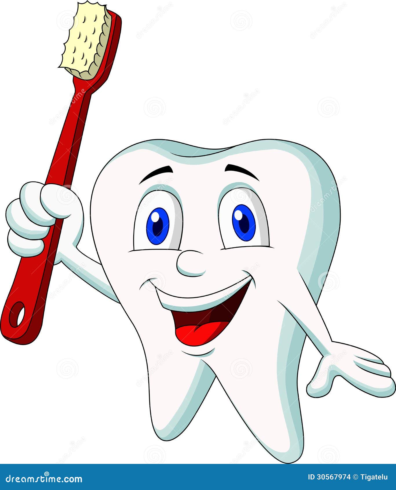 Cute Tooth Cartoon Holding Tooth Brush Stock Images - Image: 30567974